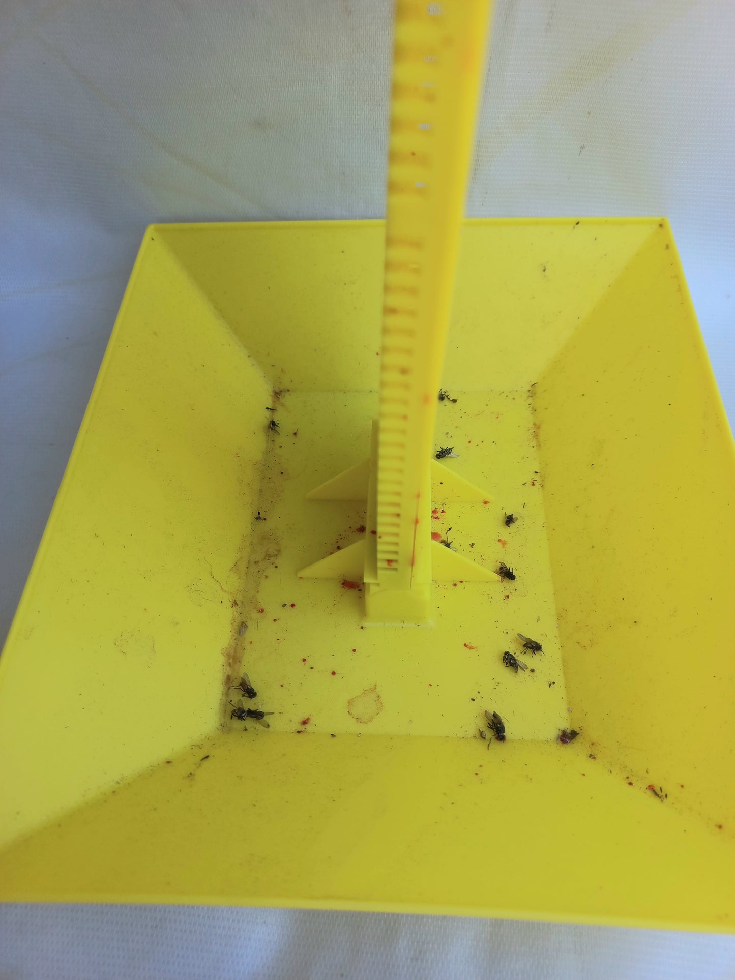 Fly Trap Station