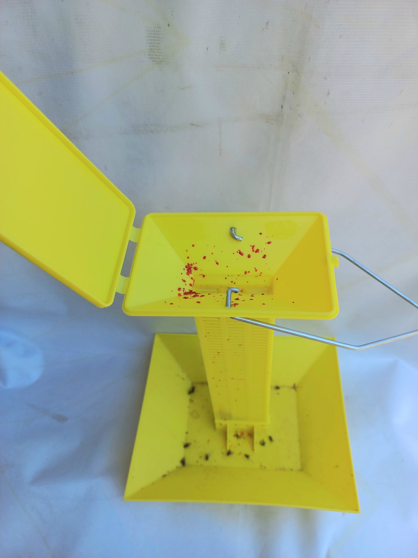 Fly Trap Station