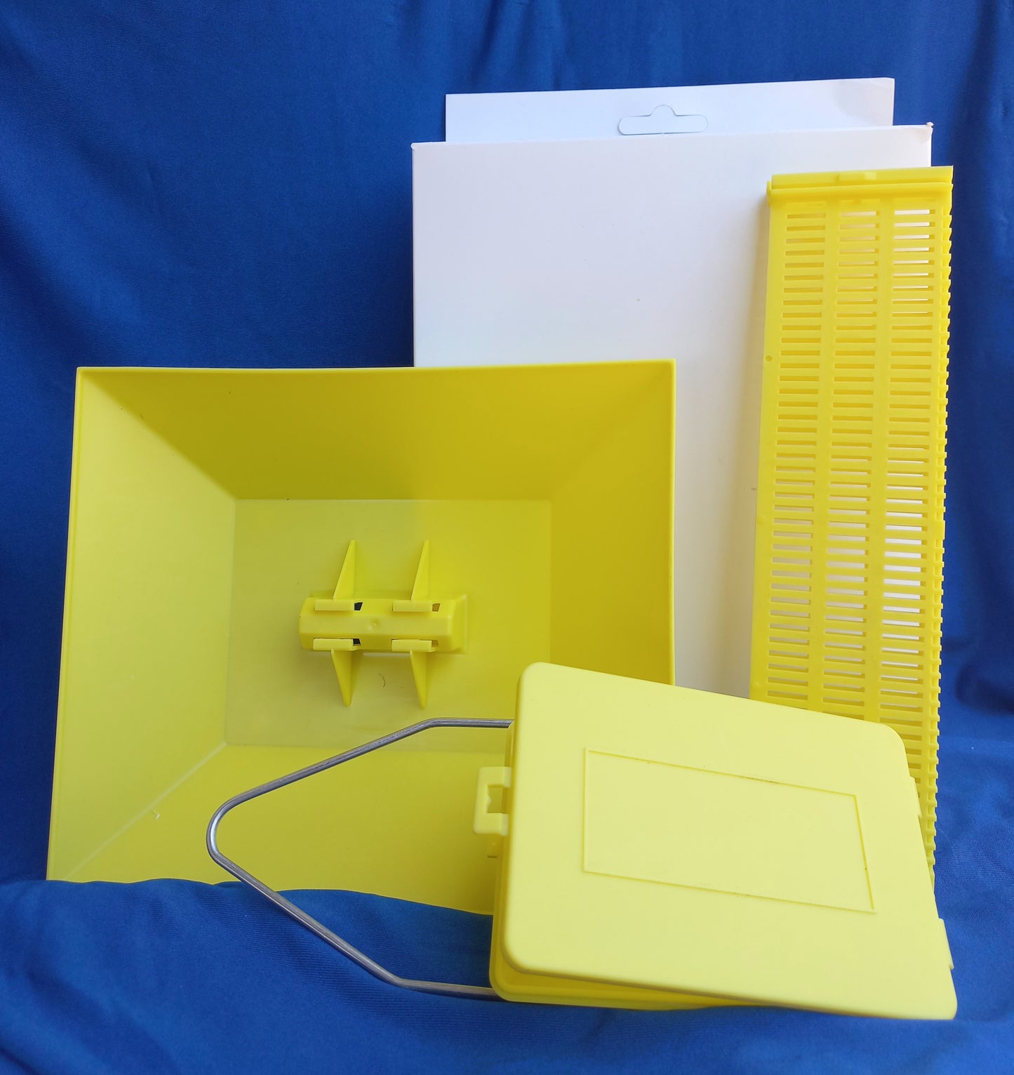 Fly Trap Station