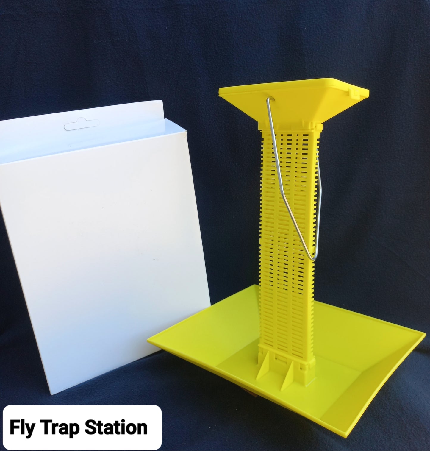 Fly Trap Station
